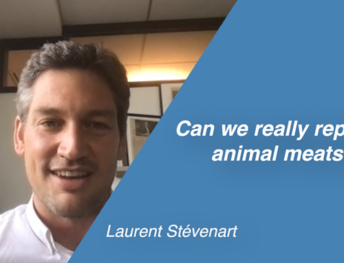 Can we really replace animal meats?