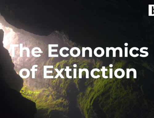 The Economics of Extinction: Bats