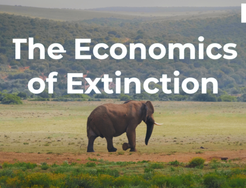 The Economics of Extinction: Elephants