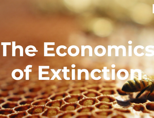 The Economics of Extinction: Bees