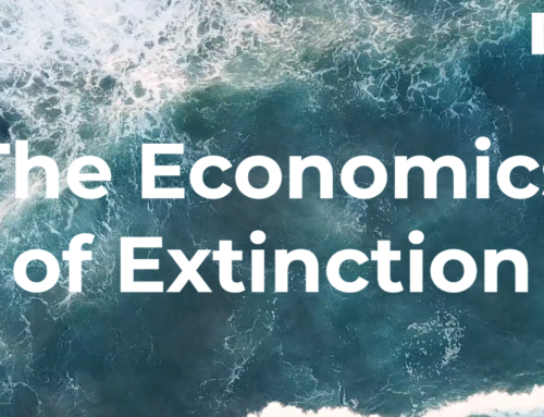 The Economics of Extinction: Phytoplankton